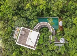 Spectacular Jungle Houses