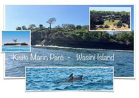 Room in Guest Room - Dolphin Suite 40 m2 in Villa 560 m2, Indian Ocean