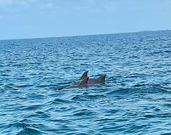 Room in Guest Room - Dolphin Suite 40 m2 in Villa 560 m2, Indian Ocean