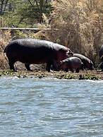 Room in Guest Room - Dolphin Suite 40 m2 in Villa 560 m2, Indian Ocean