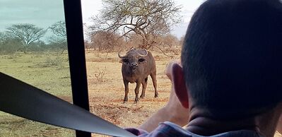 Room in Guest Room - Dolphin Suite 40 m2 in Villa 560 m2, Indian Ocean