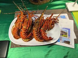 Room in Guest Room - Dolphin Suite 40 m2 in Villa 560 m2, Indian Ocean