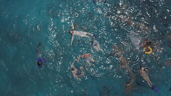 Ocean Pearl Maldives