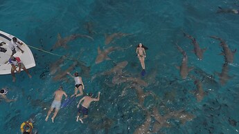 Ocean Pearl Maldives