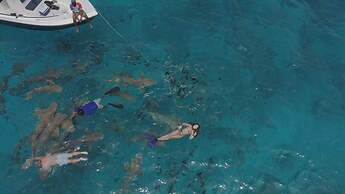 Ocean Pearl Maldives