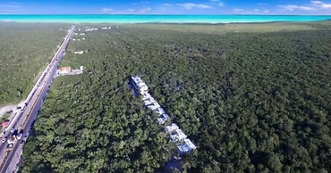 Supreme Jungle Holiday Home