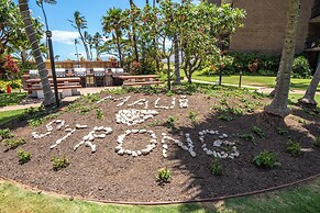 Sunny and Soothing Oceanfront Vistas