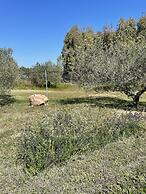 Agriturismo Corte Degli Ulivi