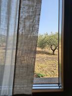 Agriturismo Corte Degli Ulivi