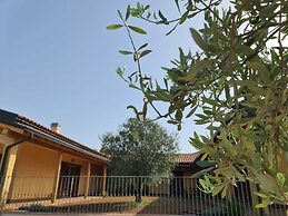 Agriturismo Corte Degli Ulivi