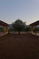 Agriturismo Corte Degli Ulivi