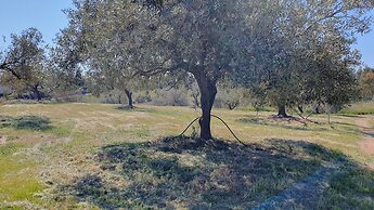 Agriturismo Corte Degli Ulivi