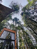 TinyChillHouse