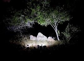 Luxury Home! - Pool - Fire Pit - Near Canyon Lake!