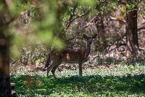 Pioneer Charm With Hot Tub & Firepit - 8 mi to Main St