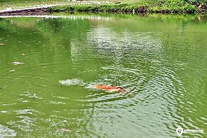 Eco Chalés Luar das Marés