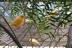 Paringa Caravan Park