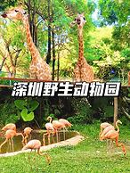 Shenzhen Naive S Hotel (Xili Metro Station Store)