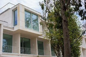 One Shot Palácio Cedofeita