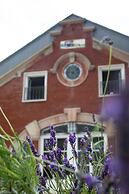 One Shot Palácio Cedofeita