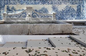 One Shot Palácio Cedofeita