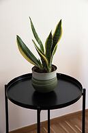 Appartamento Vittoria