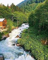 aquarium bungalow uzungöl