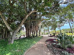 Verano Stay Flat Trab e Relax