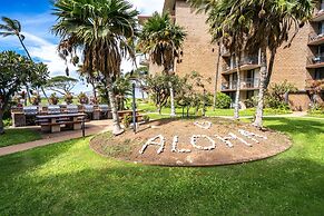Modern & Polished Oceanfront Vistas