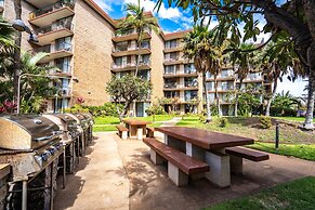 Modern & Polished Oceanfront Vistas