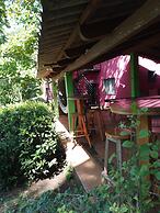 El Patio de Don Moncho - Shalpa