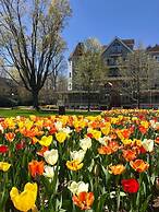 G Cookie's House 3 Bedroom Home by RedAwning