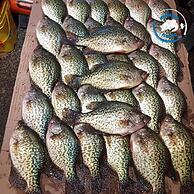 G Cookie's House 3 Bedroom Home by RedAwning