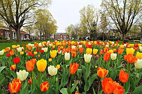 G Cookie's House 3 Bedroom Home by RedAwning