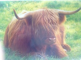 Central Scotland Country Side With Outdoor Bbq Hut