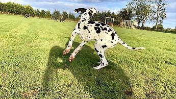 Central Scotland Country Side With Outdoor Bbq Hut