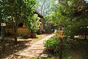 2- Large Terrace and Suggestive Panorama