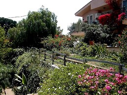 2- Large Terrace and Suggestive Panorama