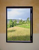 MINIMALIST An Eco Farmstay