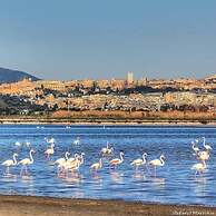 Room in Apartment - La Palma King Room With Balcony Lapalmarooms