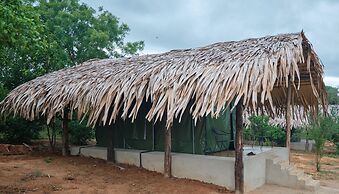 Forest Lodge Eco Camp