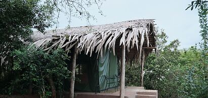 Forest Lodge Eco Camp