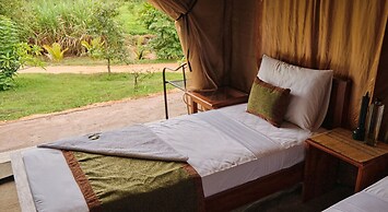 Forest Lodge Eco Camp