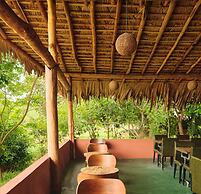 Forest Lodge Eco Camp
