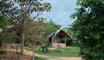 Forest Lodge Eco Camp