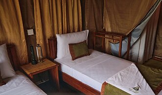 Forest Lodge Eco Camp