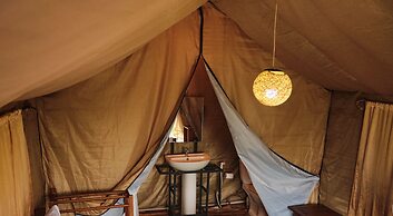 Forest Lodge Eco Camp