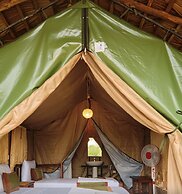 Forest Lodge Eco Camp