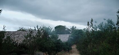 Forest Lodge Eco Camp