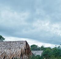 Forest Lodge Eco Camp